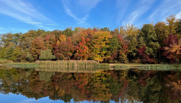 Fall Scene with Colorful Leaves and a Tranquil Lake