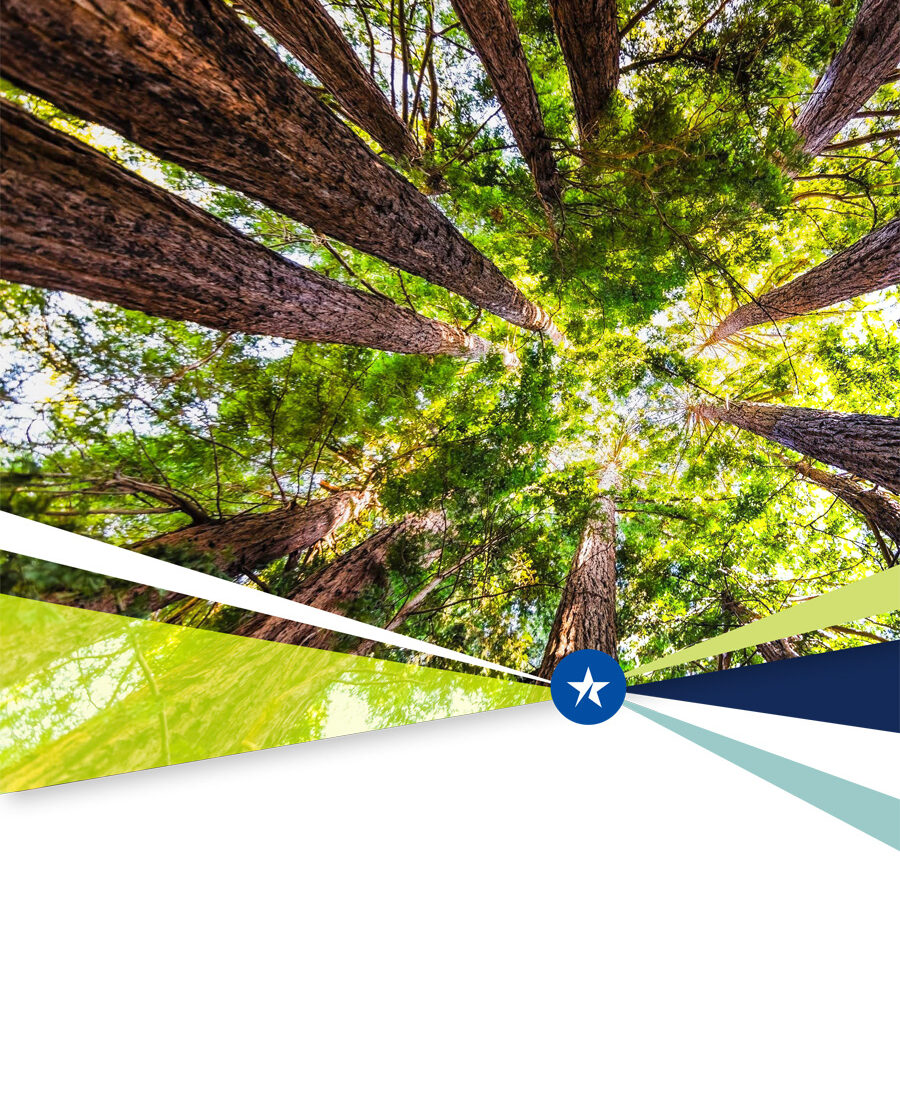 Leveraging the ROI of Leadership Development